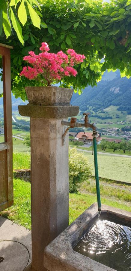 Hotel Gasthof Engelberg Scharnachtal Zewnętrze zdjęcie